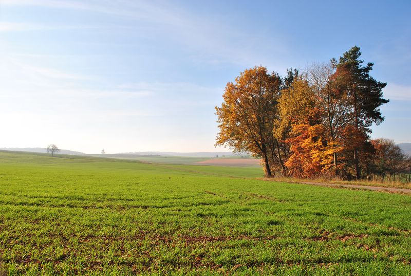 Bild: