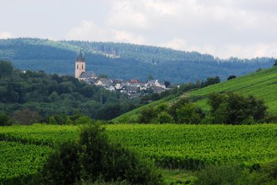 Von Brühl - Eigenes Werk, Wikimedia Bild: Von Brühl - Eigenes Werk, Wikimedia