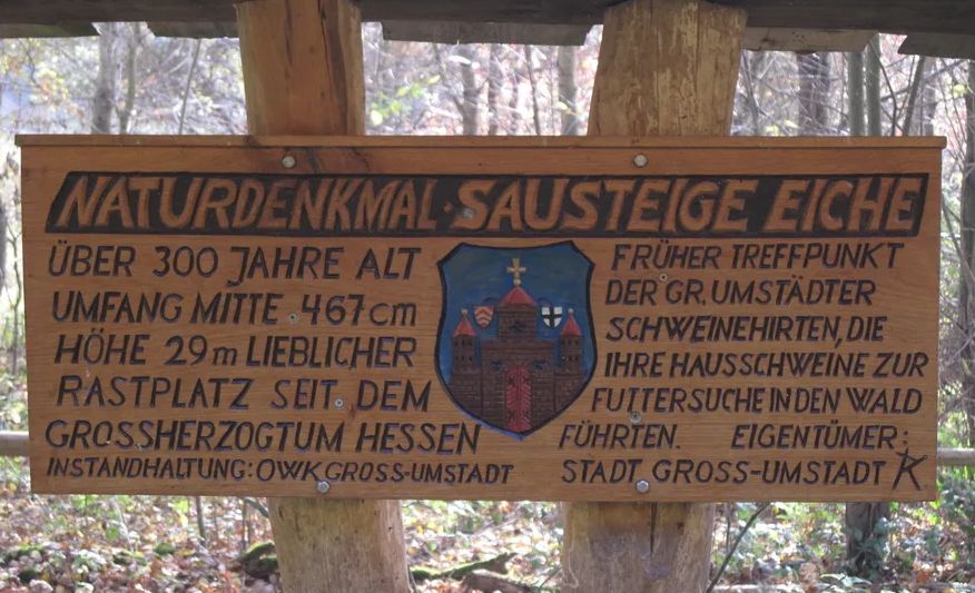Bild: