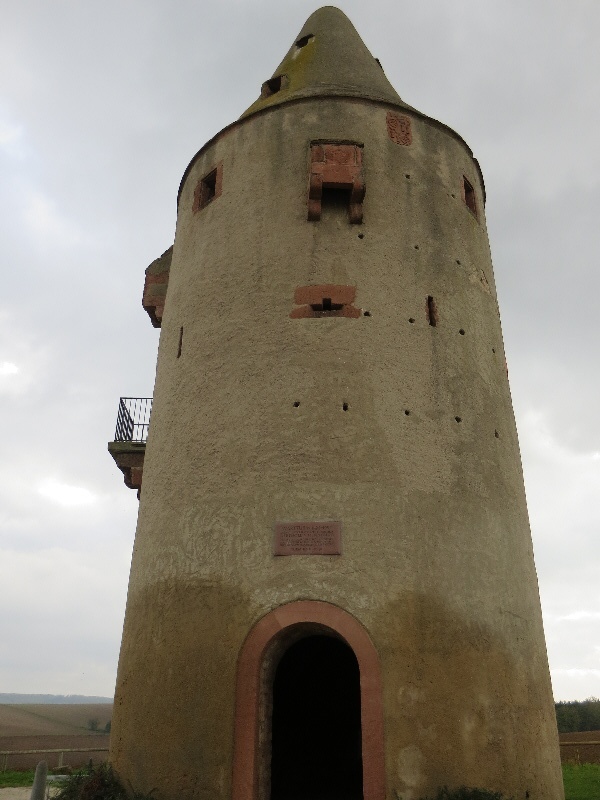 Bild: