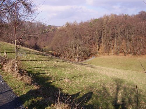 Bild: