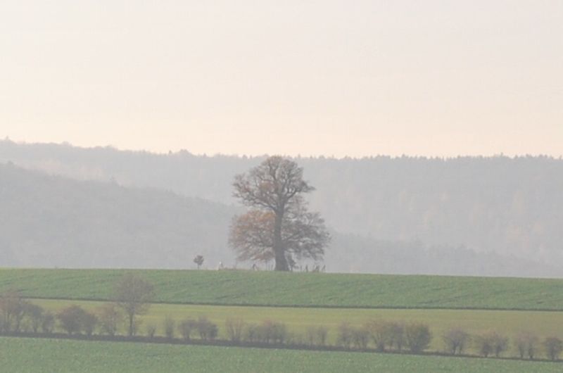 ©fuss-volk.de Bild: ©fuss-volk.de