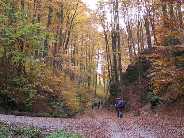 ©fuss-volk.de Bild: ©fuss-volk.de