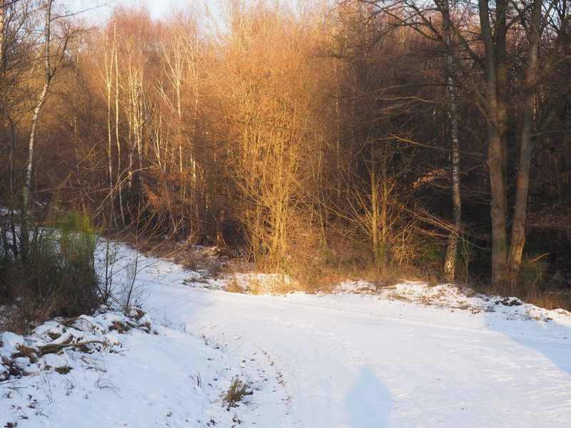 not found: BadNauheim-09.jpg