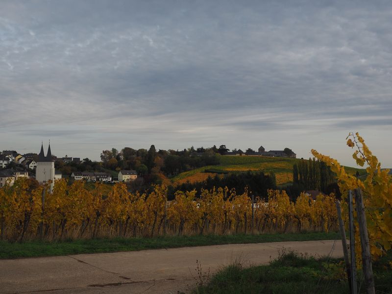 PA250026.JPG