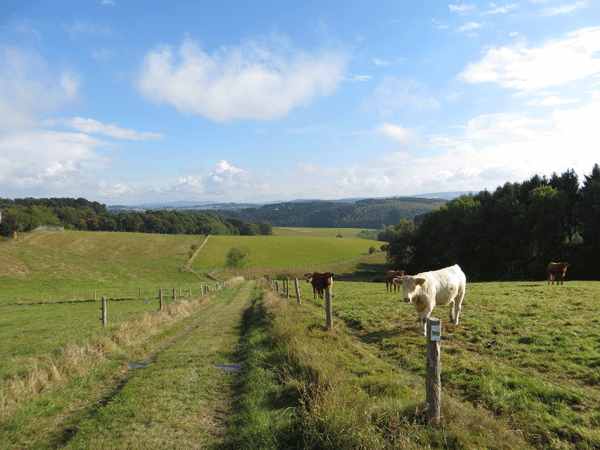 Westerwald-2.jpg