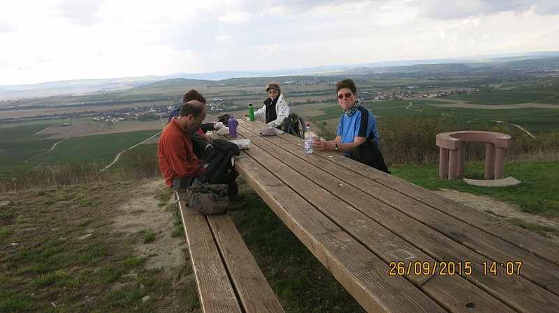 Rheinhessen-4.jpg