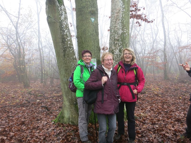 not found: Guldenbachtal_4.jpg