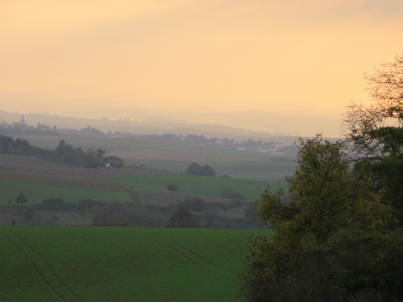 not found: Gr-Umstadt_12.jpg