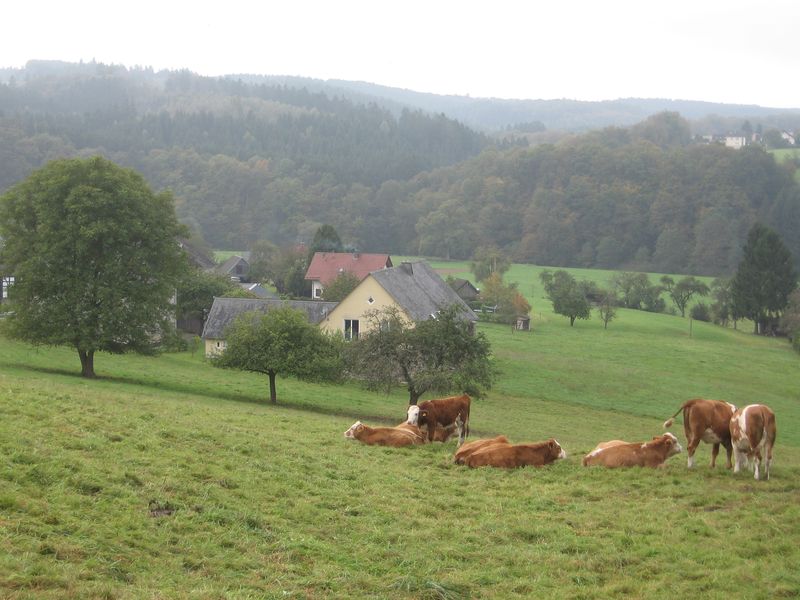 Westerwald_02.jpg