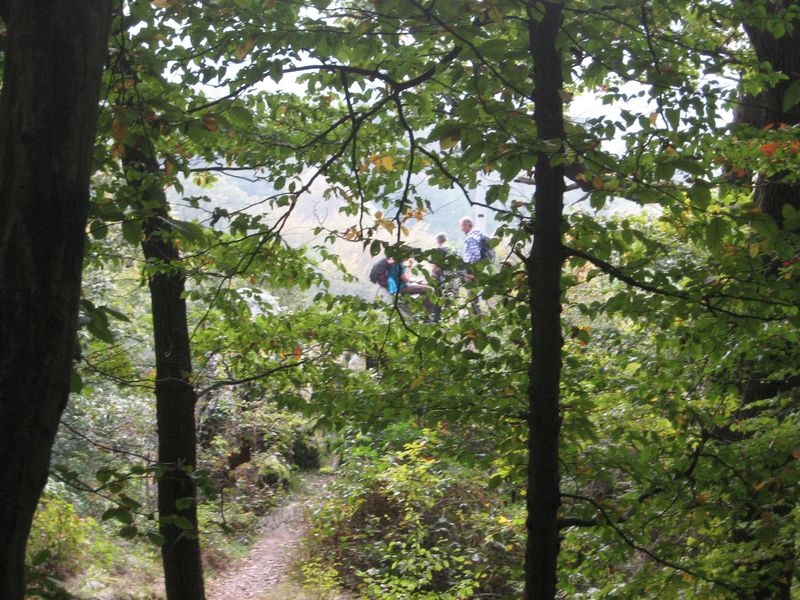 Westerwald_05.jpg