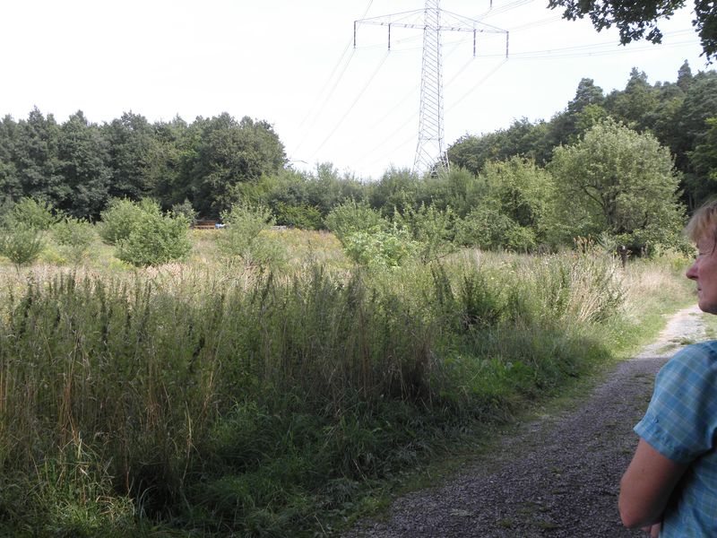 Ruekersbacher_Schlucht_02.jpg