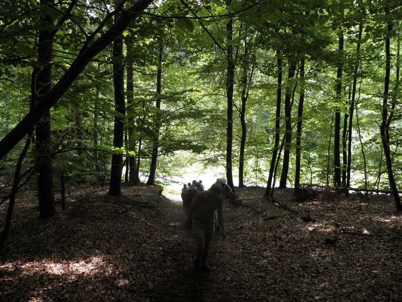 Ruekersbacher_Schlucht_06.jpg