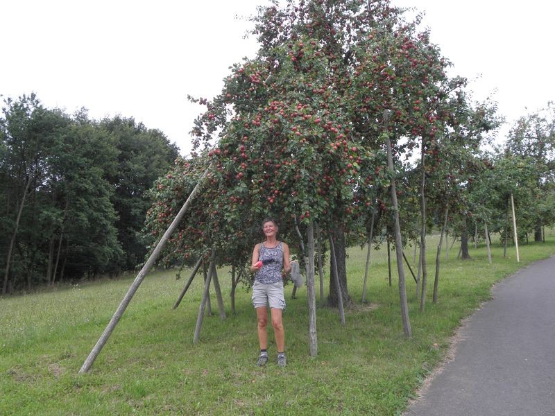 Ruekersbacher_Schlucht_10.jpg