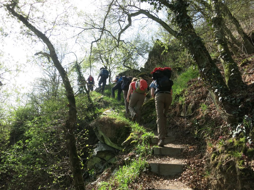 Rheinburgenweg_07.jpg