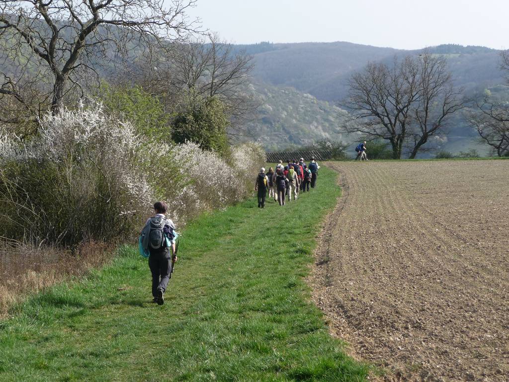 Rheinburgenweg_22.jpg