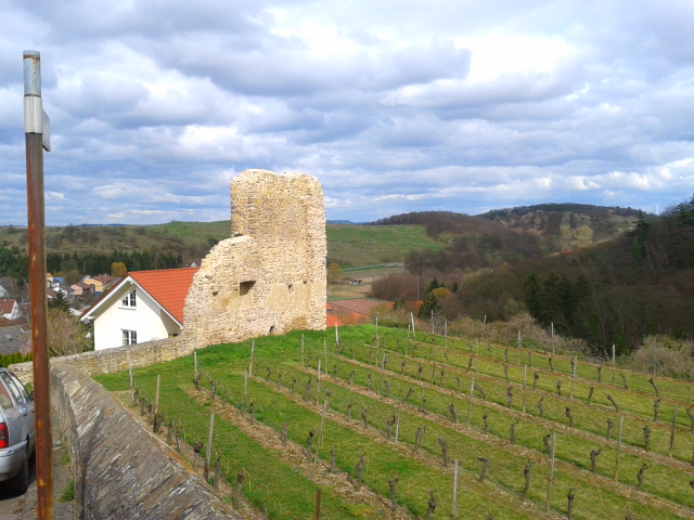 Rheinhessen_17.jpg