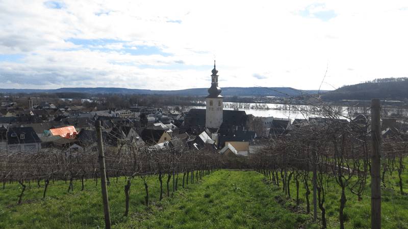 Rudesheim-7.jpg