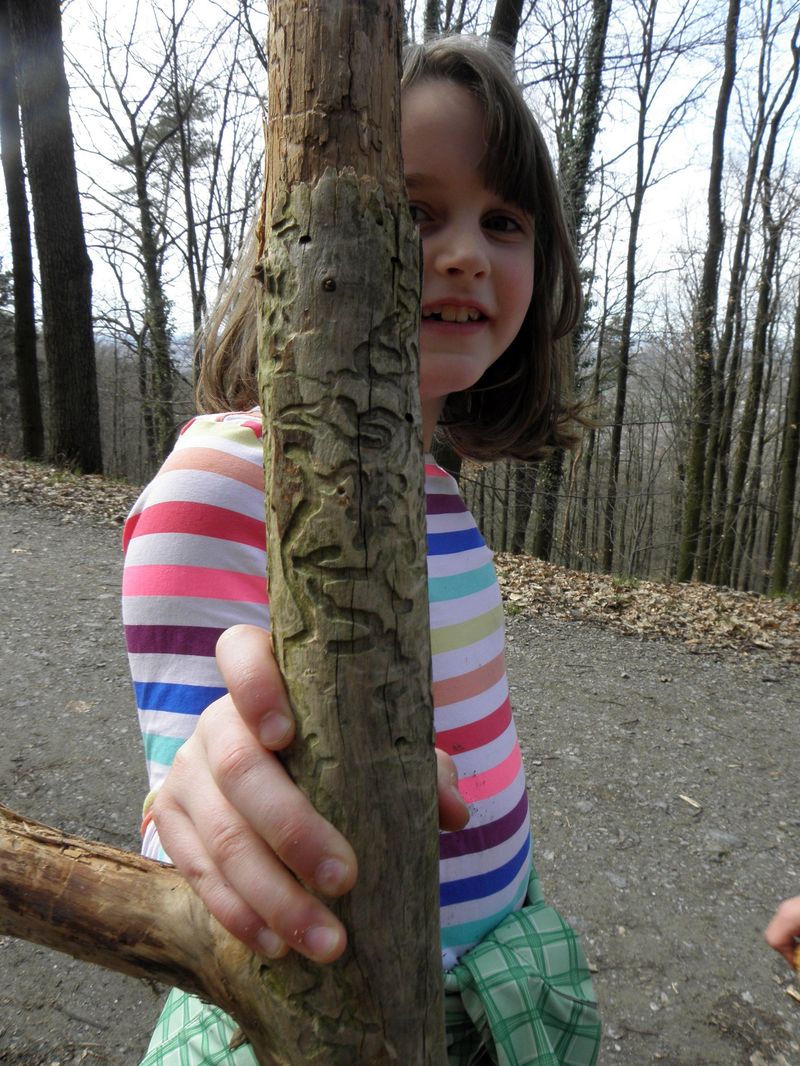 not found: Odenwald-12.jpg