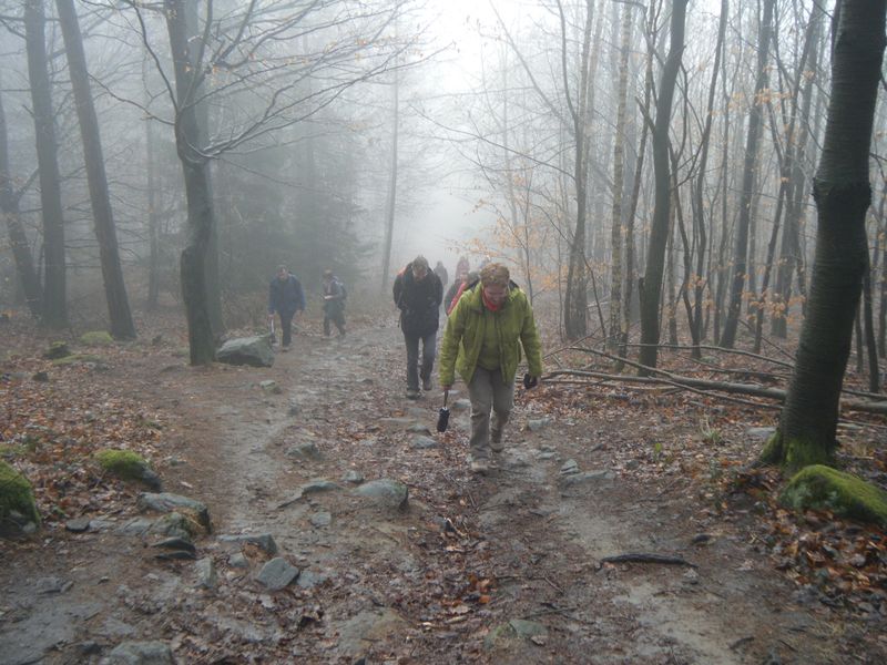 not found: Odenwald-1.jpg