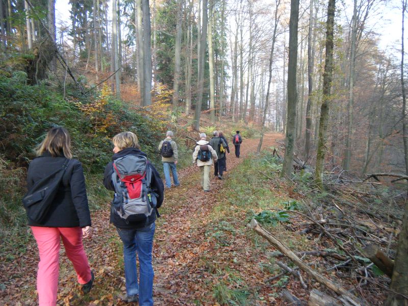not found: Weinheim-4.jpg