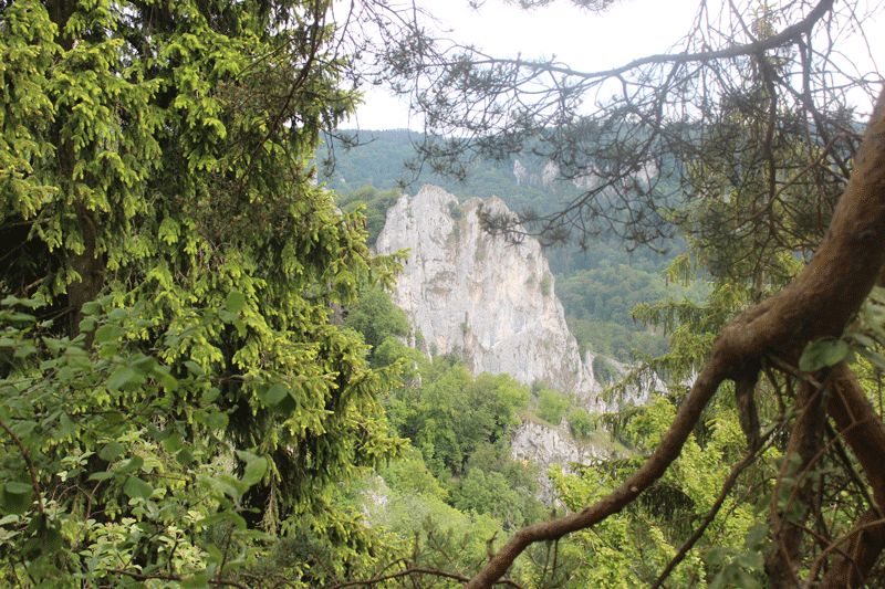 not found: Donau-16.jpg