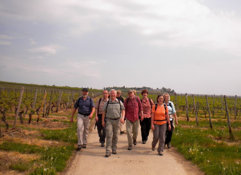 not found: Rheingau-1.jpg
