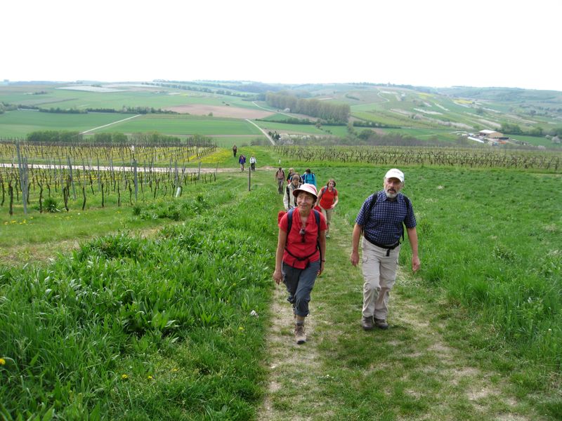 Rheinhessen-10.jpg