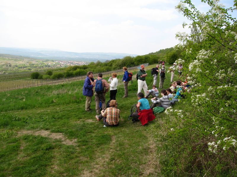 Rheinhessen-11.jpg