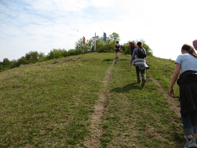 Rheinhessen-2.jpg
