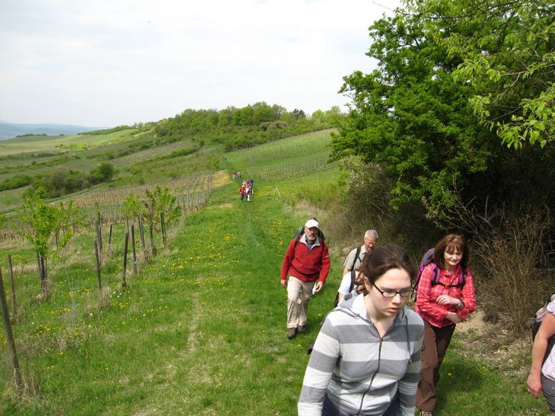 Rheinhessen-7.jpg