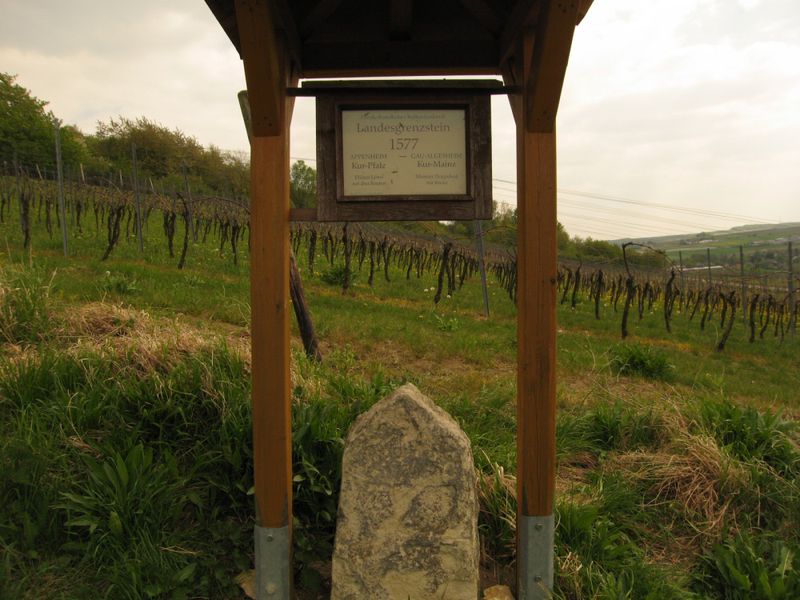 not found: Rheinhessen-9.jpg