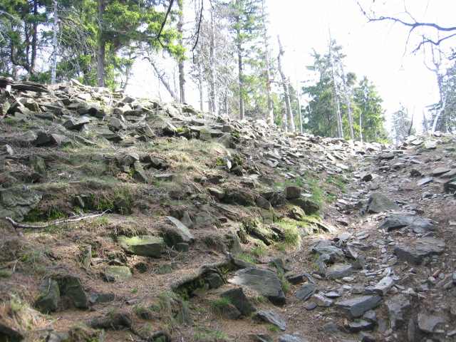 Altkoenig-6.jpg