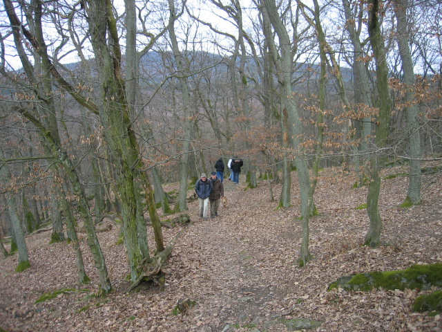 Taunusblick-Turm4.jpg