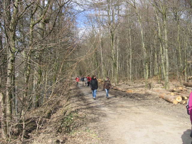 Taunusblick-Turm5.jpg