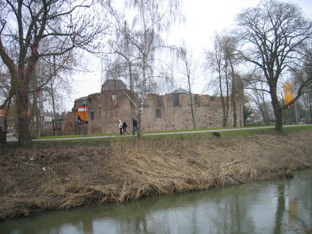 not found: Vilbeler_Stadtwald-6.jpg