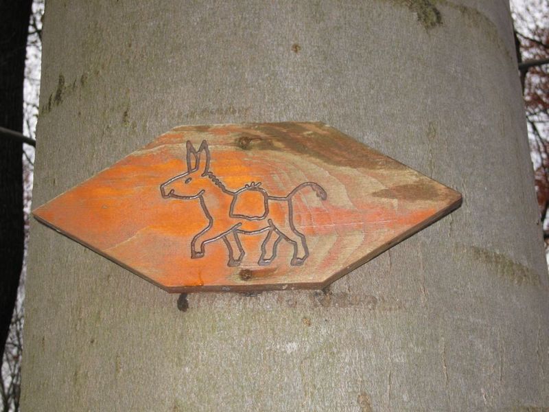 not found: fuenf-burgen_10.jpg