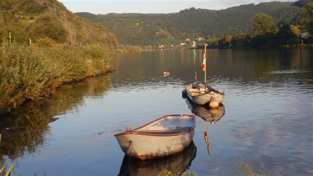 Mosel-4.jpg