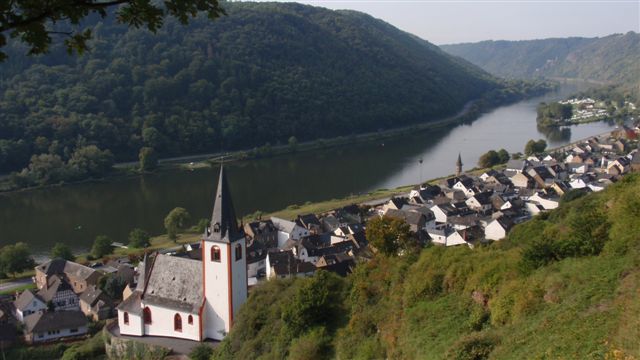 Mosel-7.jpg