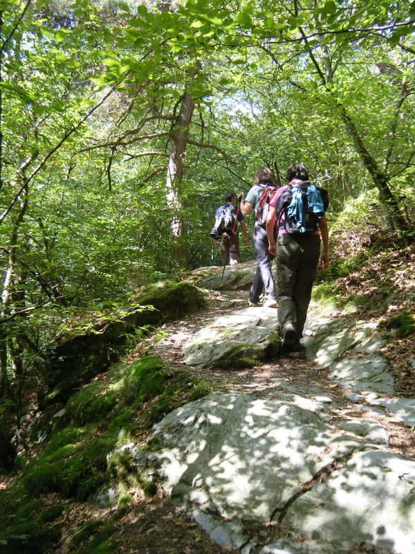 baybach_015.JPG