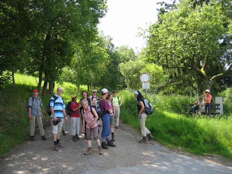 not found: Wald-Ems.jpg
