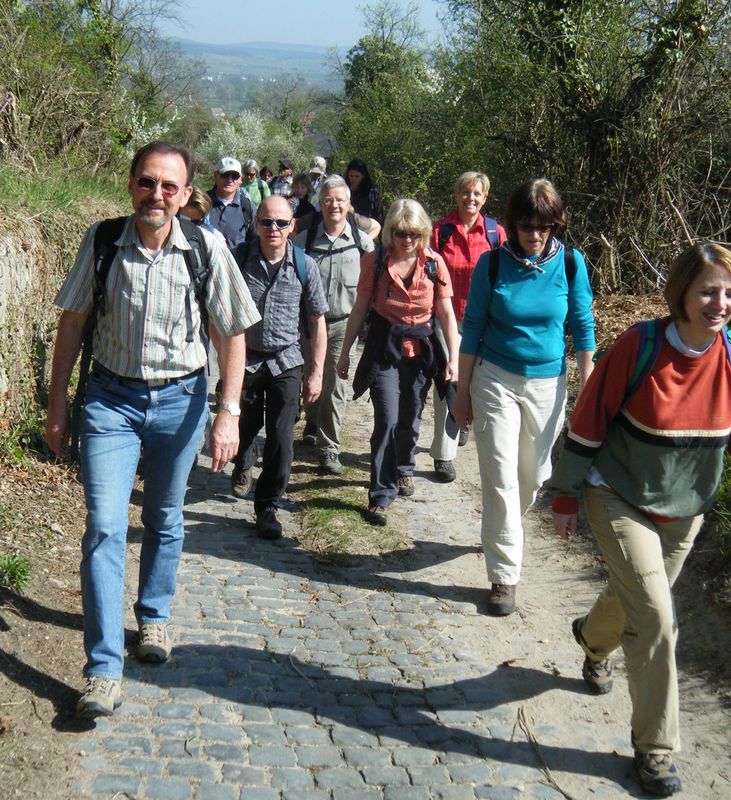 Rheinhessen_2.jpg