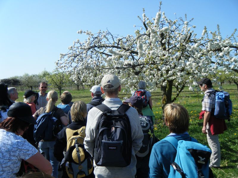 Rheinhessen_3.jpg