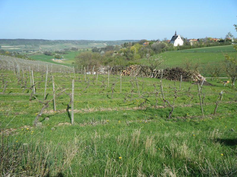 Rheinhessen_8.jpg