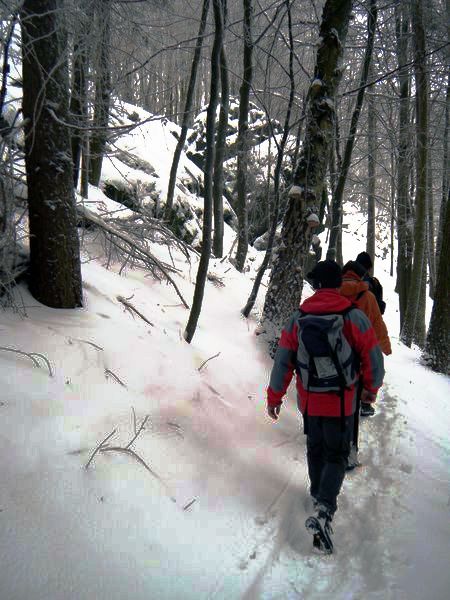 odenwald_02.jpg