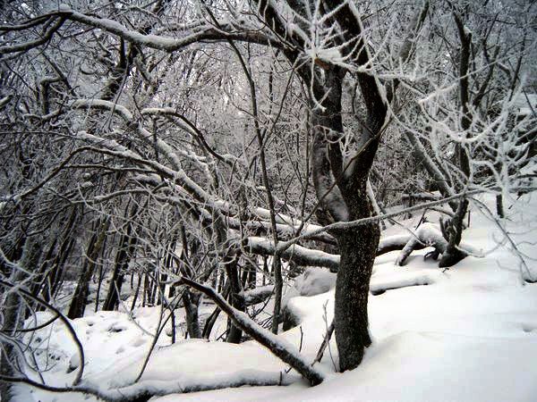 not found: odenwald_03.jpg
