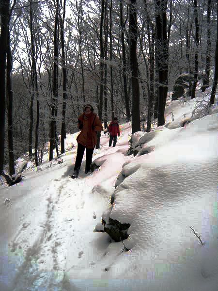 odenwald_04.jpg