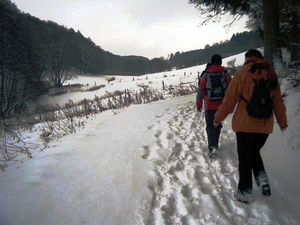 odenwald_05.jpg