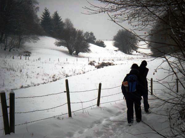 odenwald_06.jpg