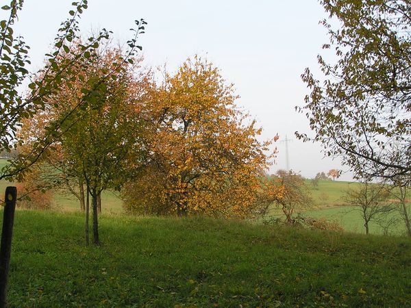 herbst-2.JPG